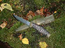 wp5ab51e14.jpg